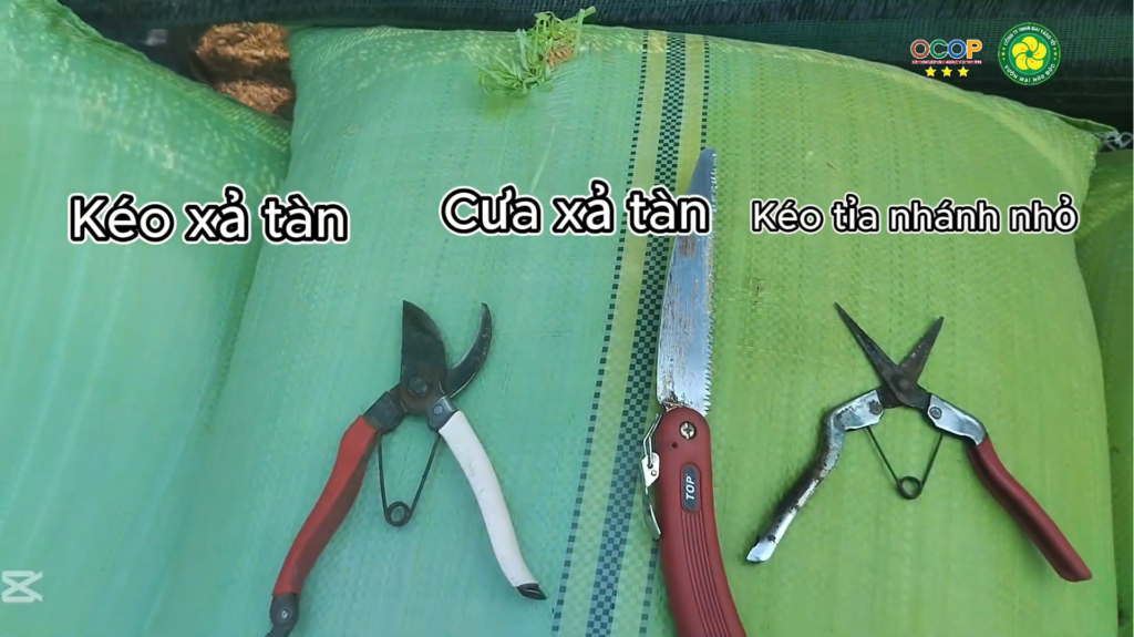Dụng cụ xả tàn