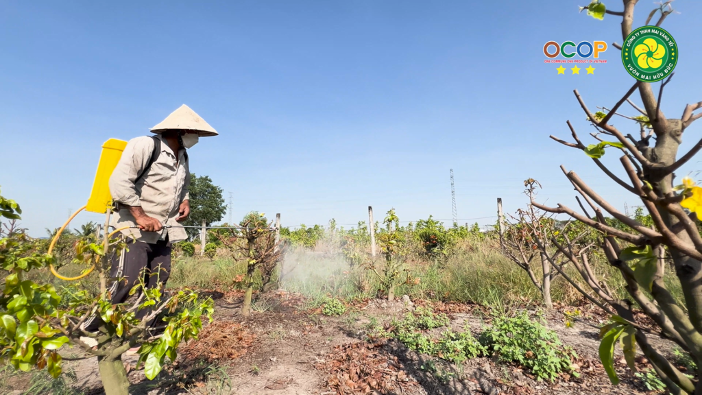 theo dõi sức khỏe