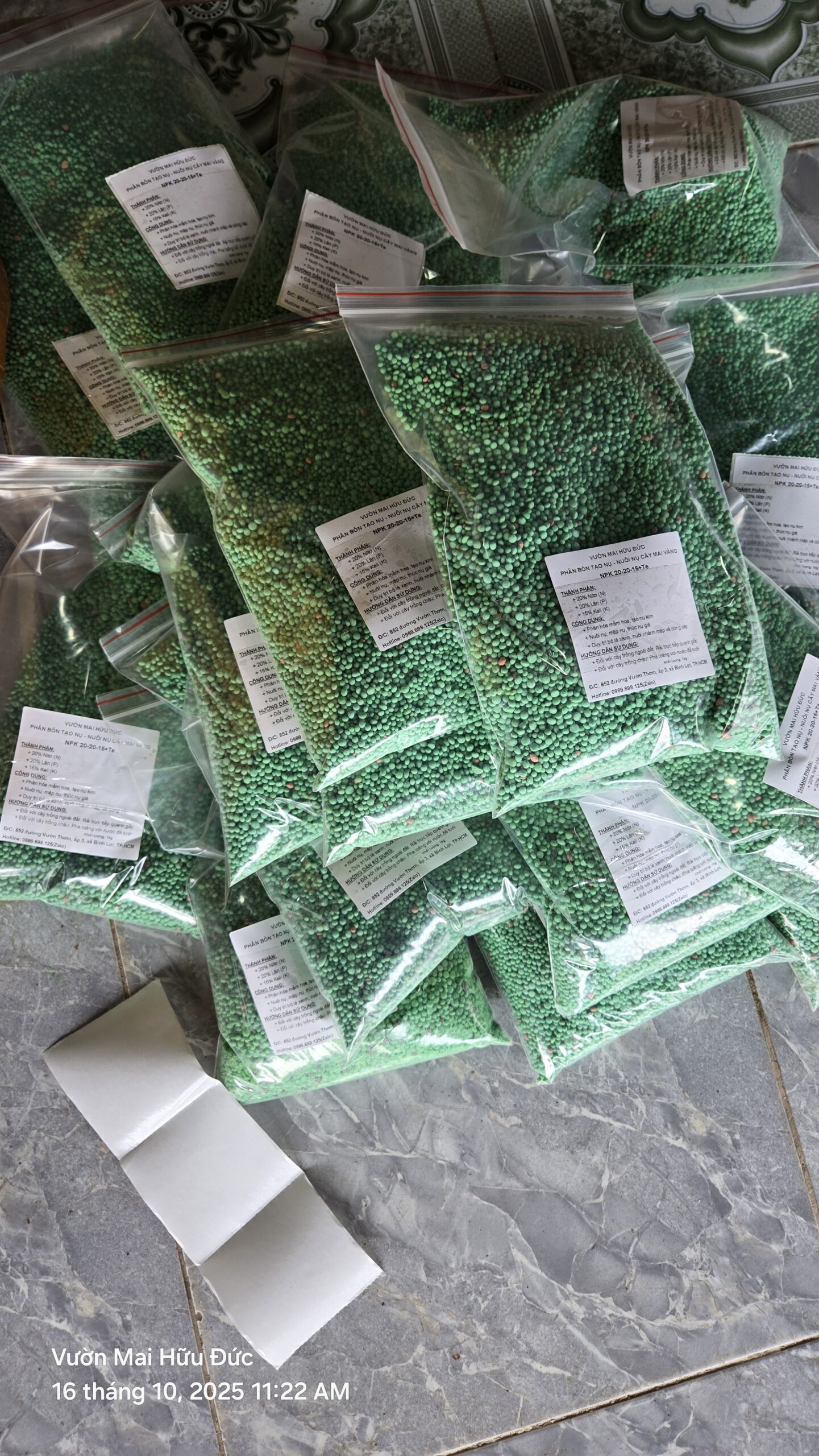 cham-soc-mai-vang-chong-ngap-ung (53)