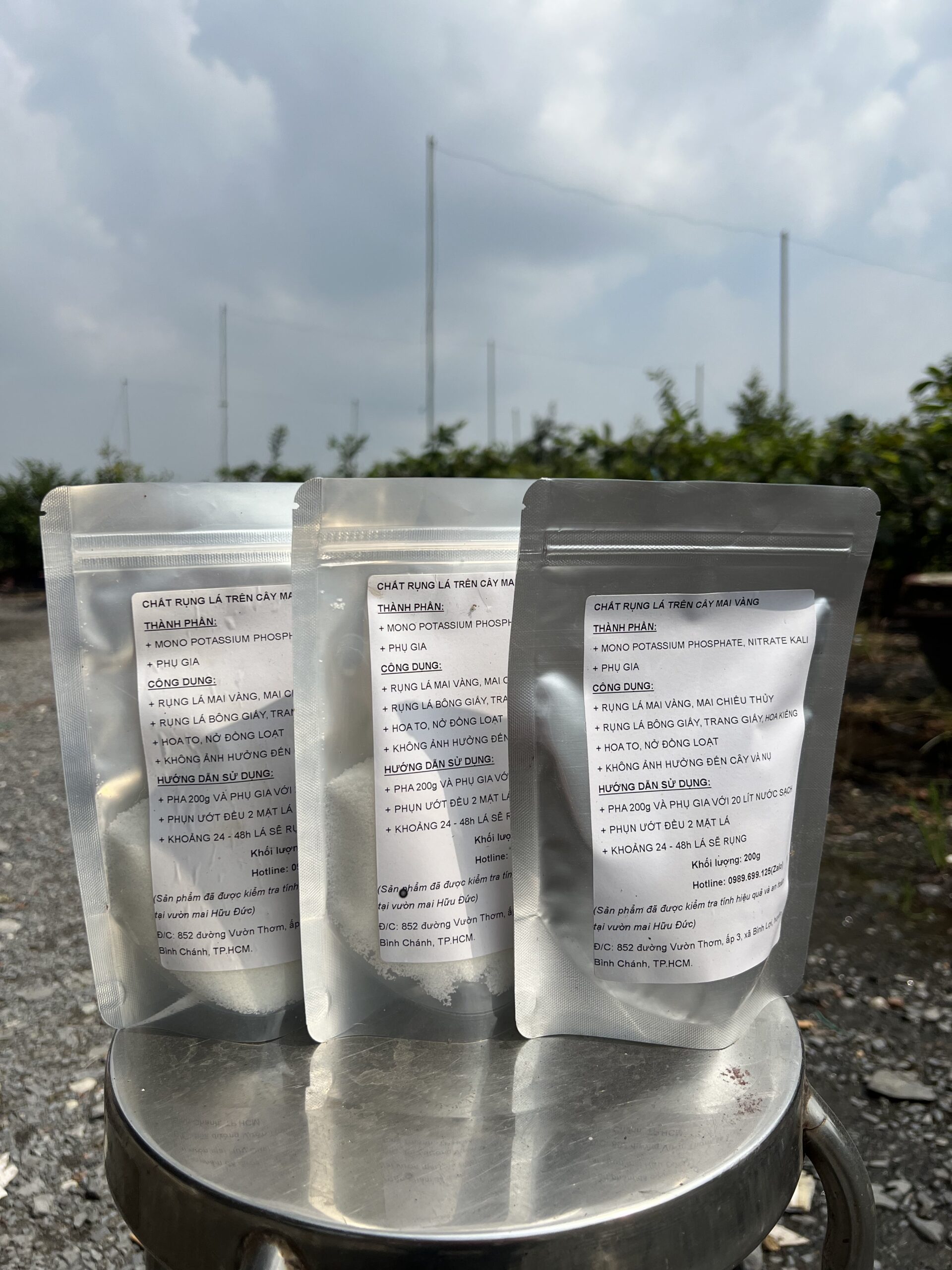 Chất Rụng Lá Mai Vàng (3)