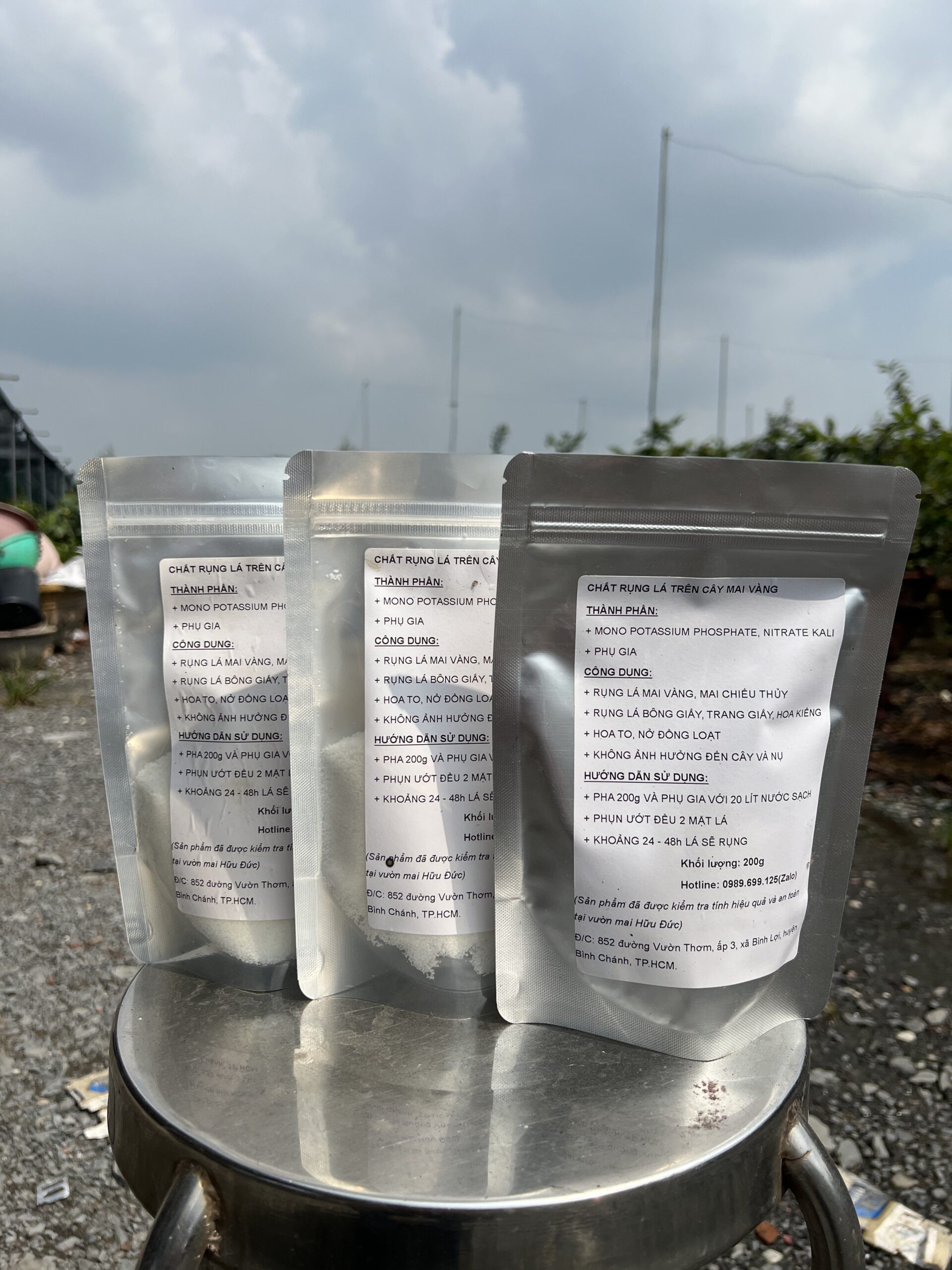 Chất Rụng Lá Mai Vàng (5)