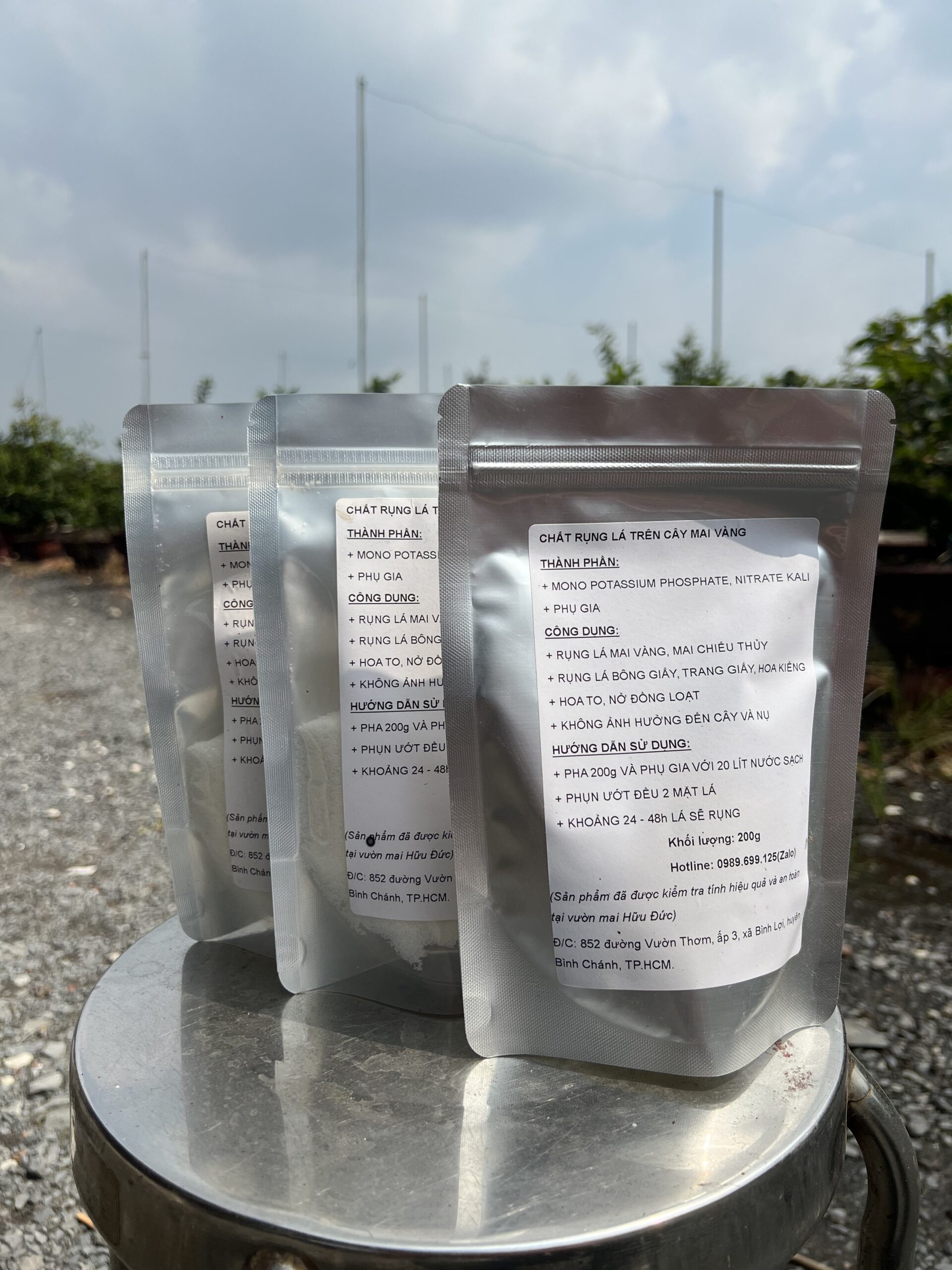 Chất Rụng Lá Mai Vàng (9)