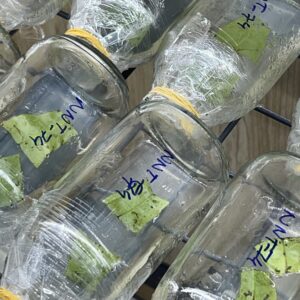 HD06 - NHỊ NGỌC TOÀN