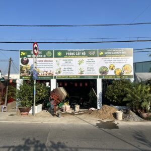 HD06 - NHỊ NGỌC TOÀN