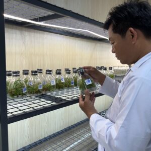 HD04 - GIẢO KEM BÌNH LỢI